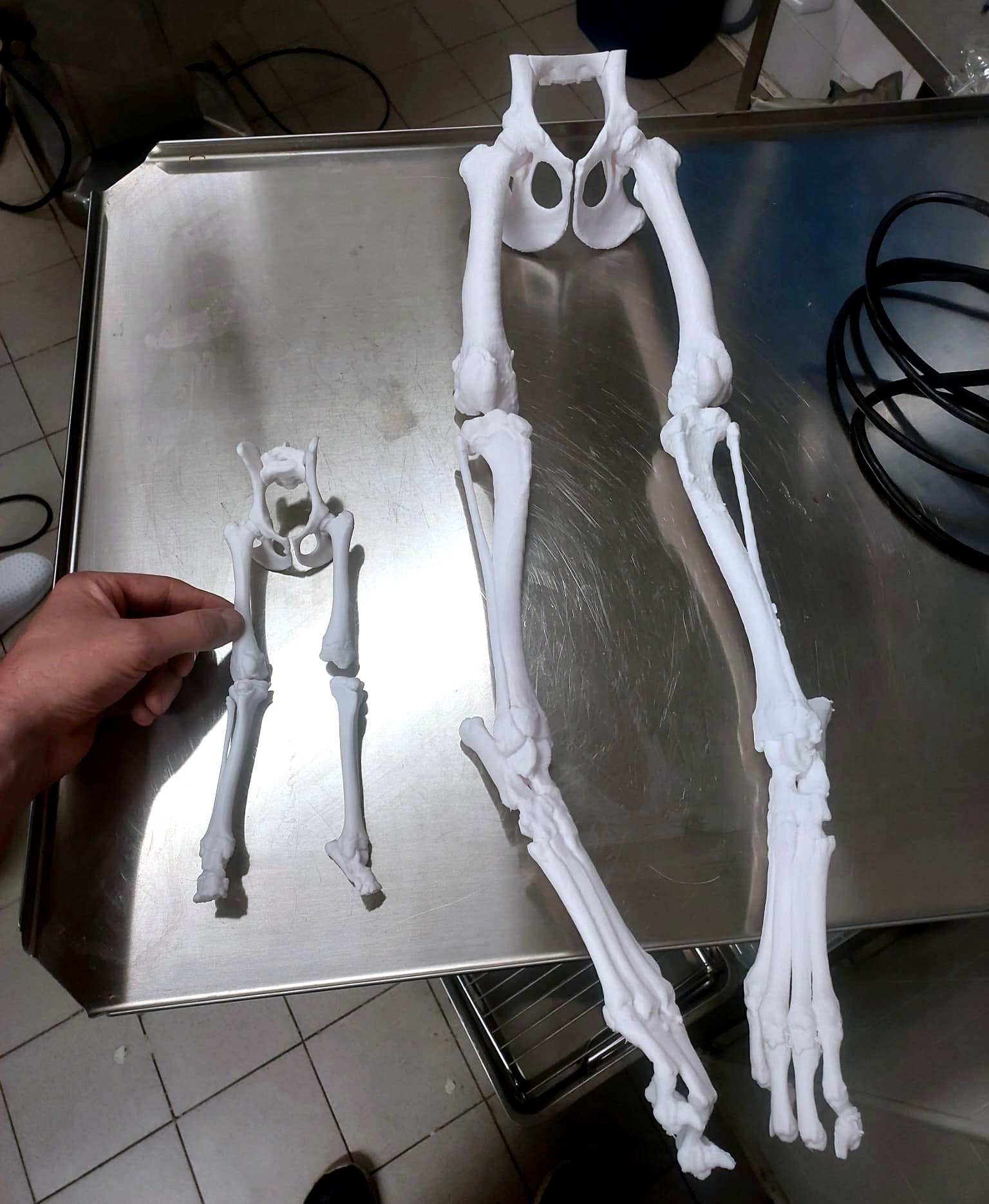 Confronto tra due arti stampati in 3D da OssoVivo, taglia piccola e taglia grande, a confronto con una mano per la scala